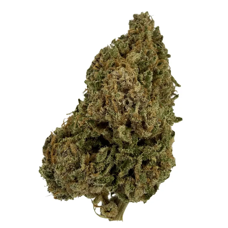 Amnesia | Fleurs de CBD